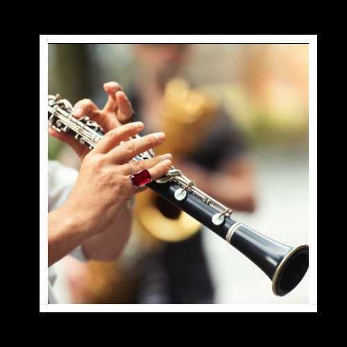 reparacion de clarinetes