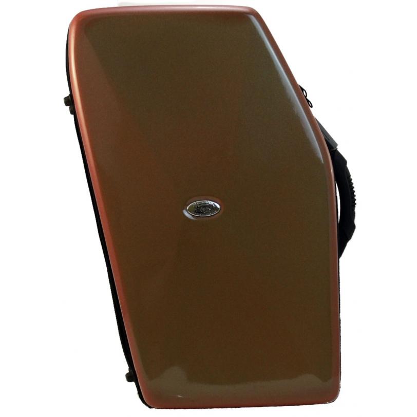 Estuches BAGS 2 SAXOS