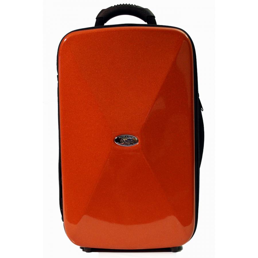 Estuches BAGS 2 CLARINETES