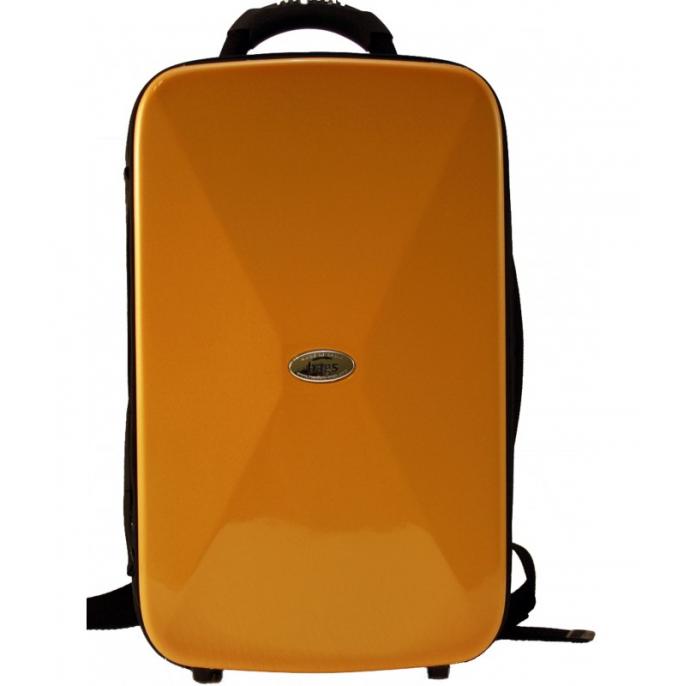Estuches BAGS 2 CLARINETES