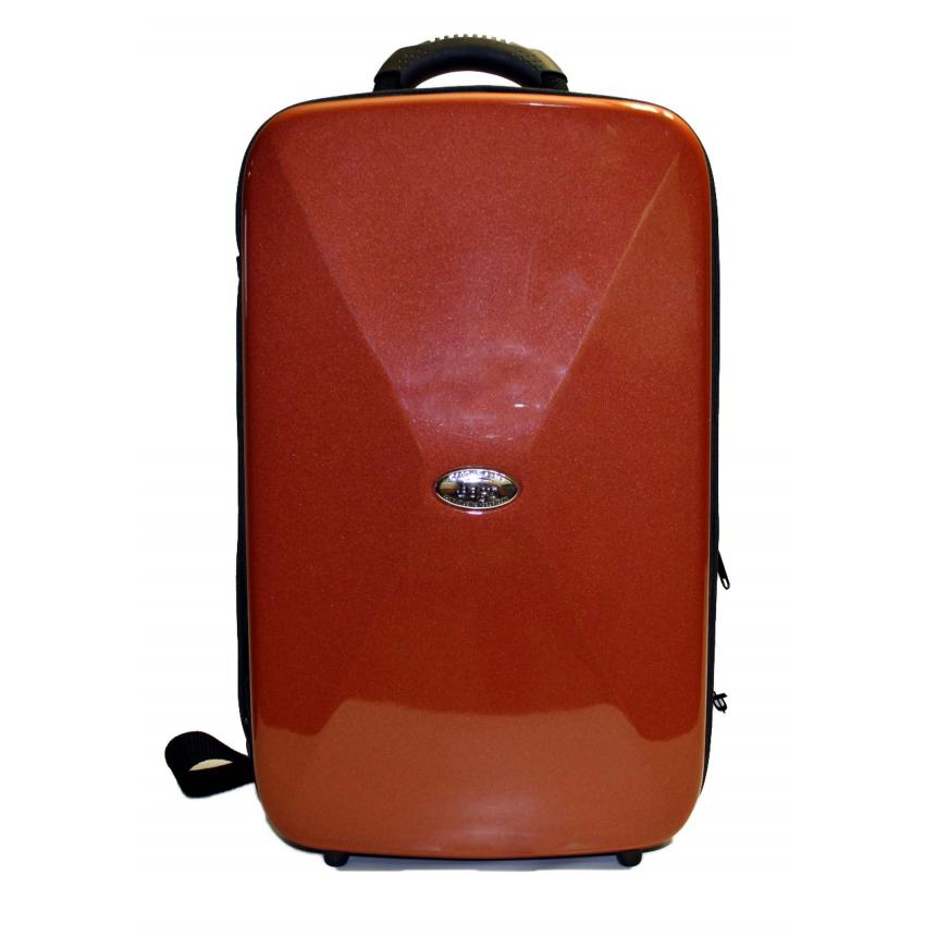 Estuches BAGS 2 CLARINETES