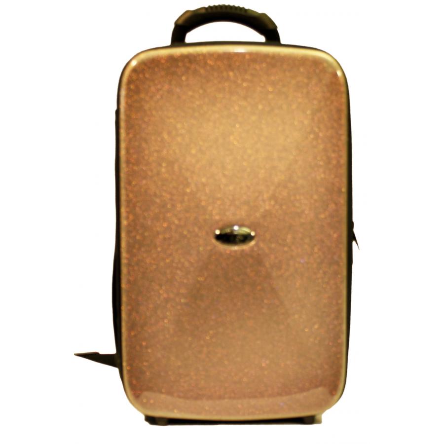 Estuches BAGS 2 CLARINETES