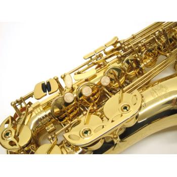 SAXO ALTO LACADO J.MICHAEL AL780
