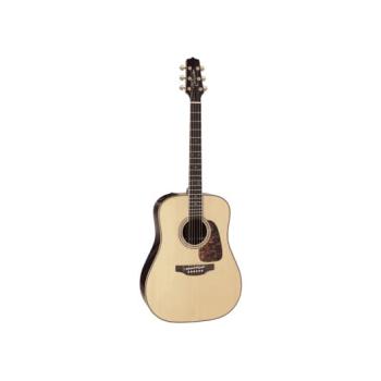 PRO SERIES 7 E/A DREADNOUGHT