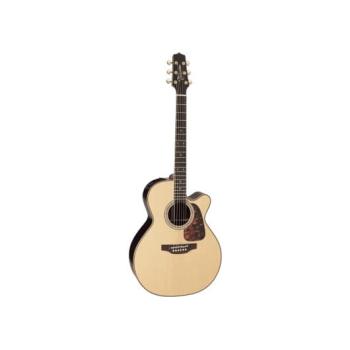 PRO SERIES 7 E/A AUDITORIUM CUTWAY – NATURAL